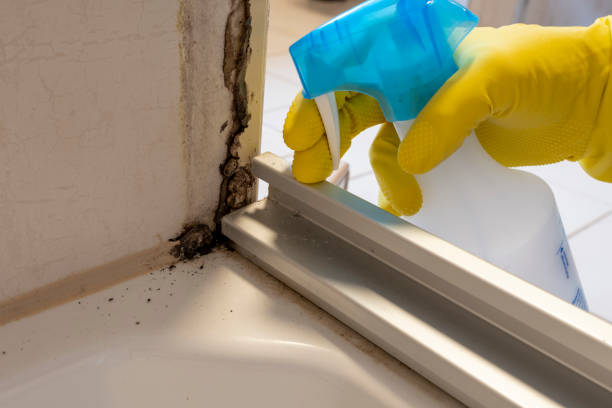 Best Mold Removal for HVAC Installations  in Merrionette Park, IL